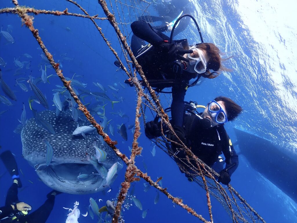 ジンベエザメ　沖縄　体験ダイビング　ダイビング　シュノーケル　読谷　okinawa diving 